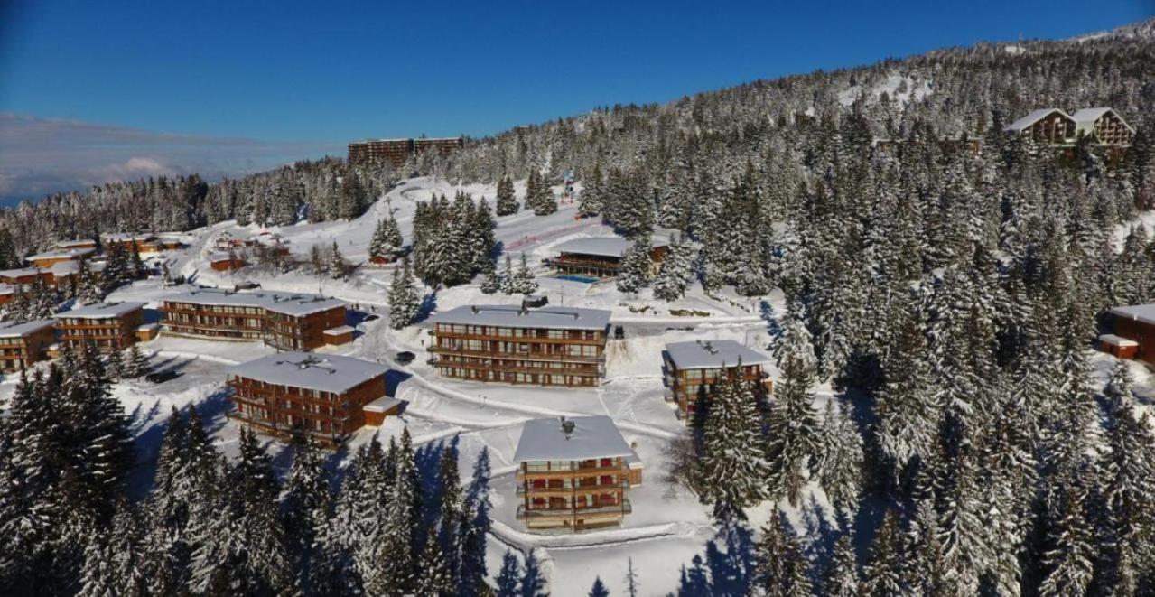 Le Cocon 4 Saisons A Chamrousse 1700 - Droseras A14 - Les Villages Du Bachat Ngoại thất bức ảnh